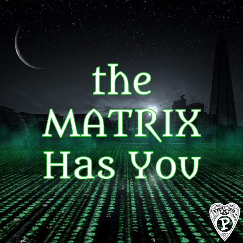 the matrix has you